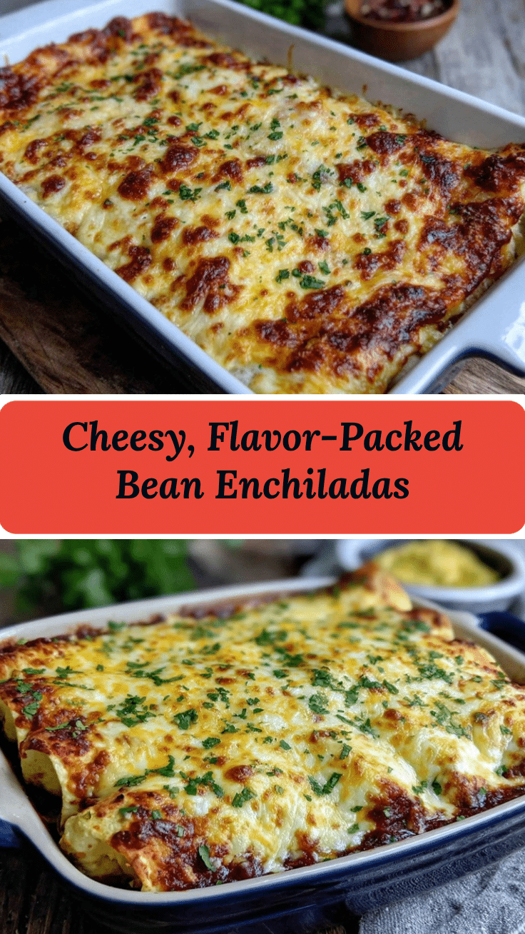 bean and cheese enchiladas recipe