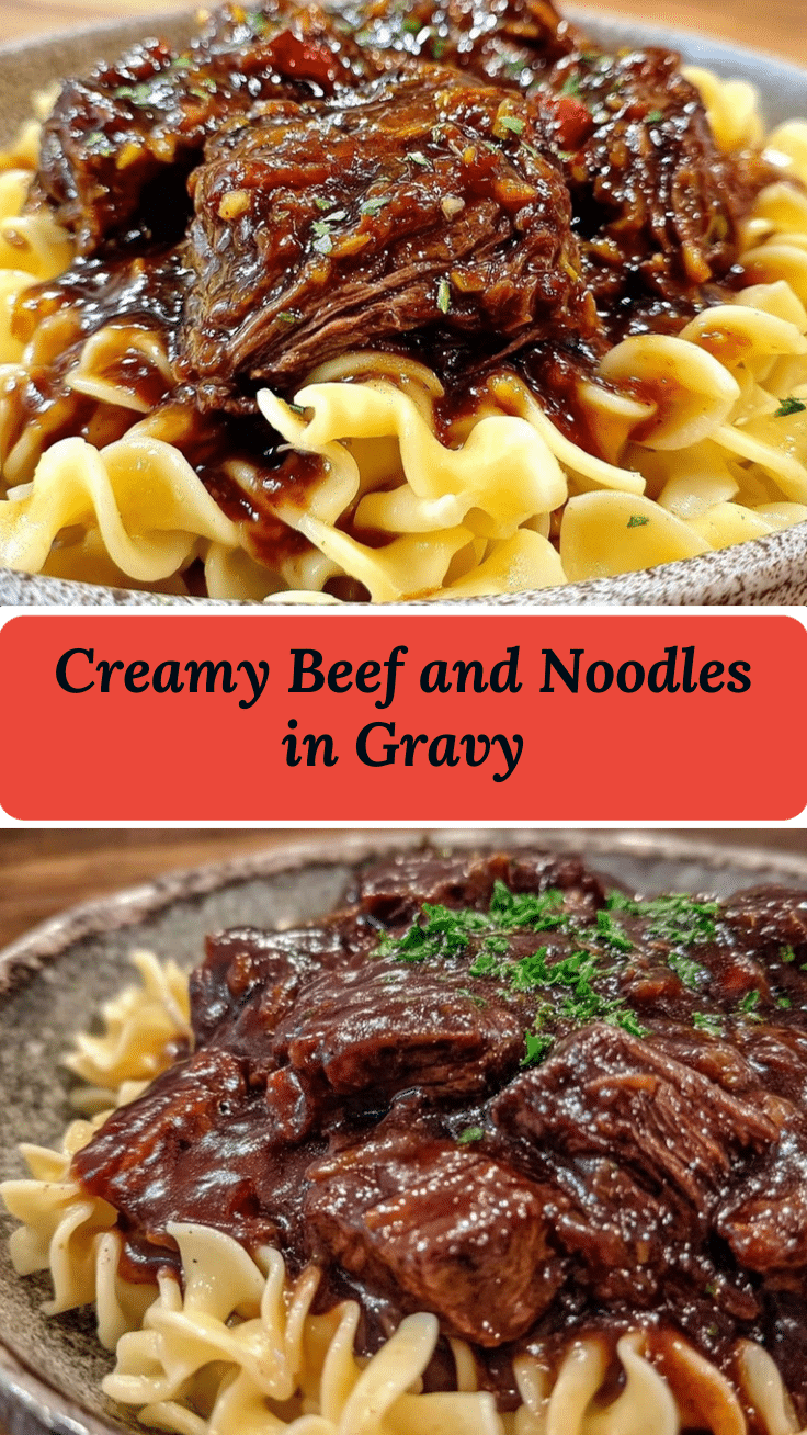 savory beef and noodles recipe recipe